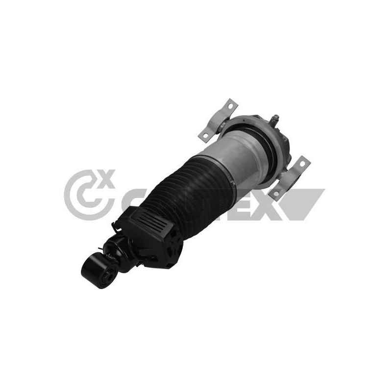 Ammortizzatore asse posteriore - CAUTEX GOMMA E PARTI MOTORE