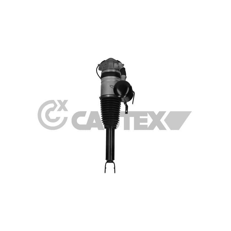Ammortizzatore asse posteriore - CAUTEX GOMMA E PARTI MOTORE