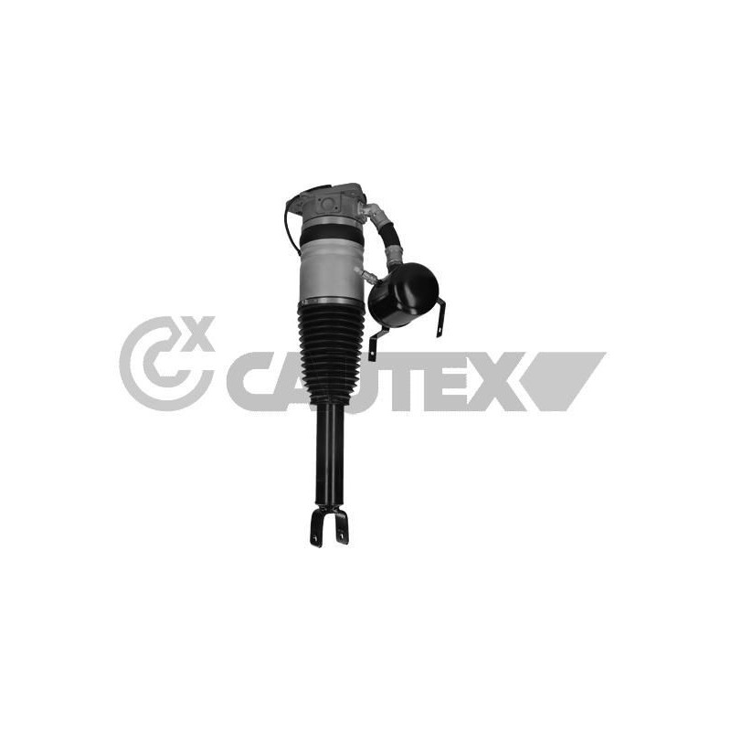 Ammortizzatore asse posteriore - CAUTEX GOMMA E PARTI MOTORE