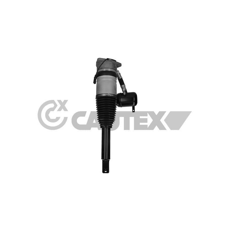 Ammortizzatore asse posteriore - CAUTEX GOMMA E PARTI MOTORE