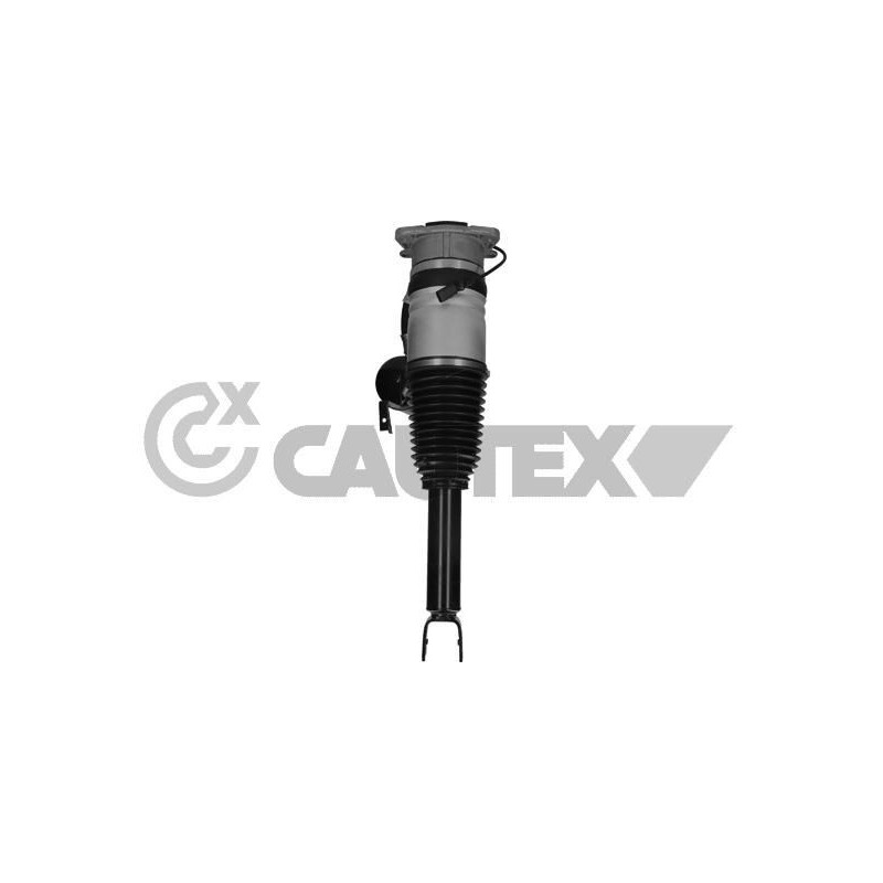 Ammortizzatore asse posteriore - CAUTEX GOMMA E PARTI MOTORE