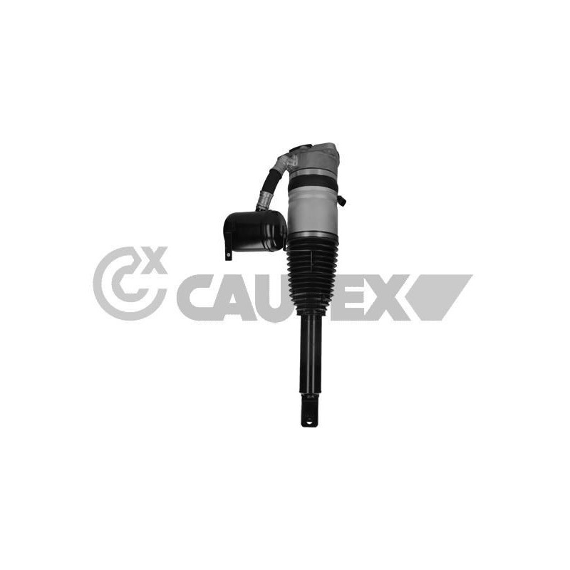 Ammortizzatore asse posteriore - CAUTEX GOMMA E PARTI MOTORE