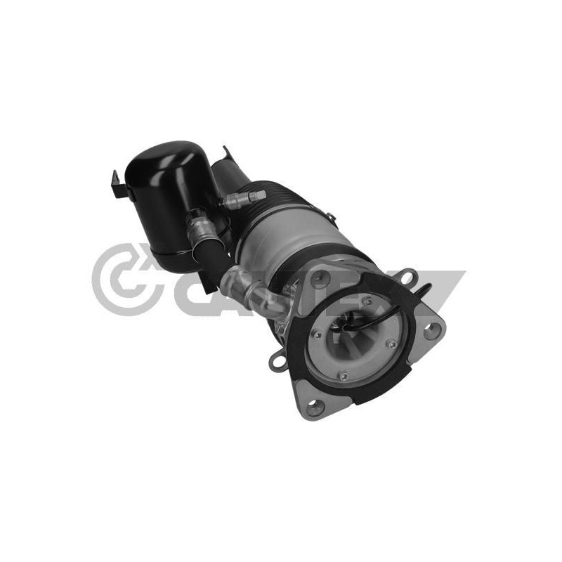 Ammortizzatore asse posteriore - CAUTEX GOMMA E PARTI MOTORE