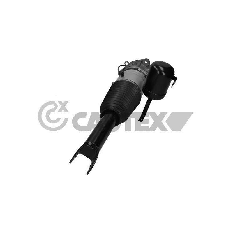 Ammortizzatore asse posteriore - CAUTEX GOMMA E PARTI MOTORE
