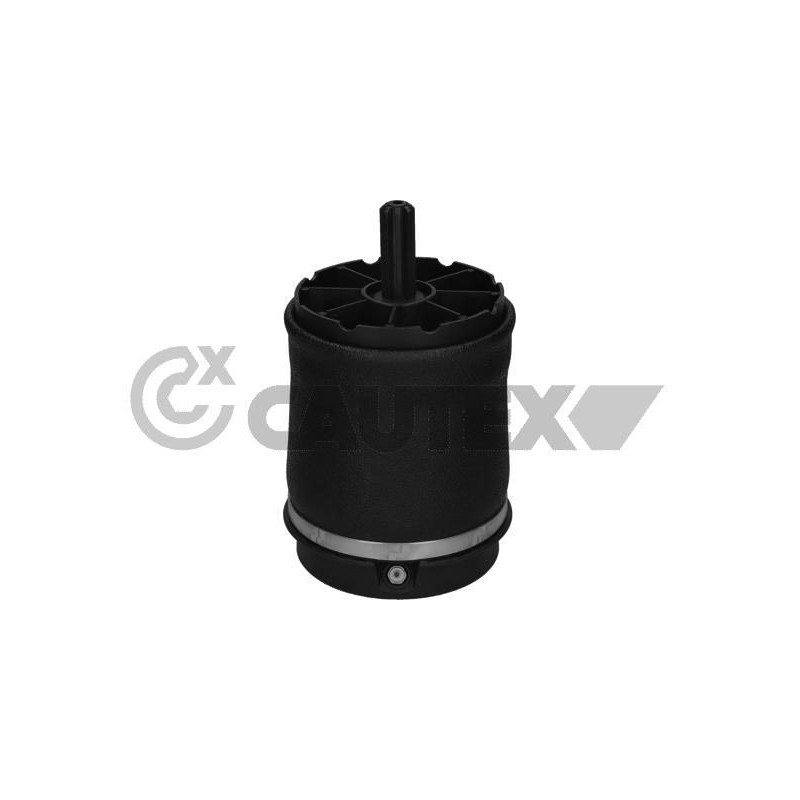 Ammortizzatore asse posteriore - CAUTEX GOMMA E PARTI MOTORE