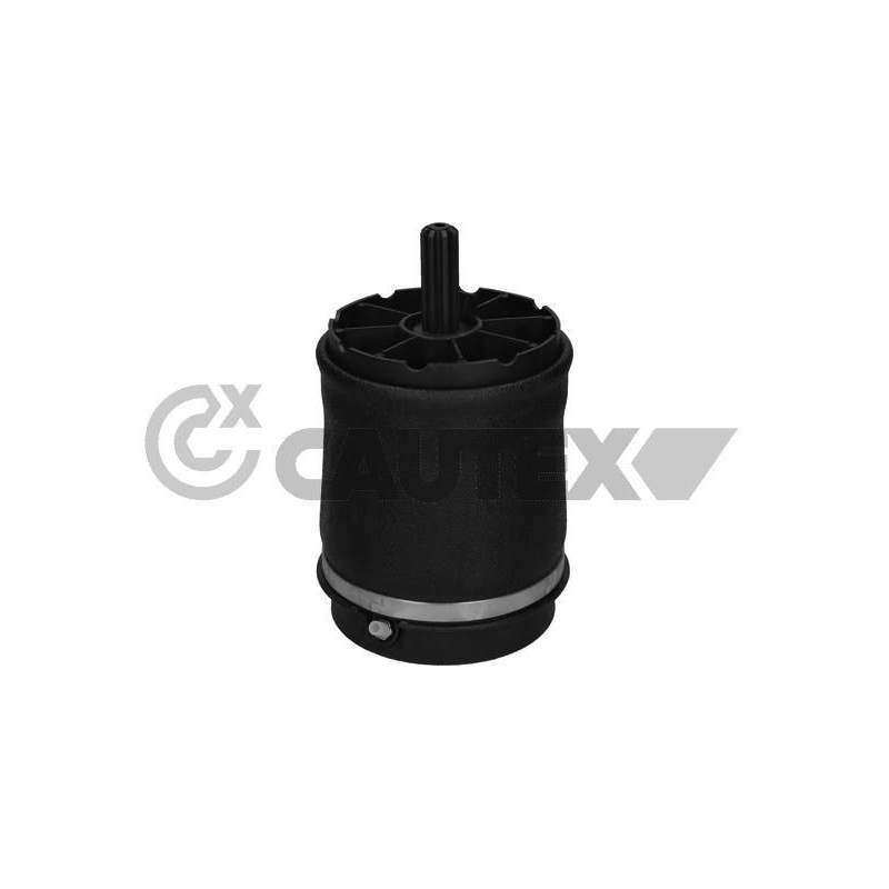 Ammortizzatore asse posteriore - CAUTEX GOMMA E PARTI MOTORE