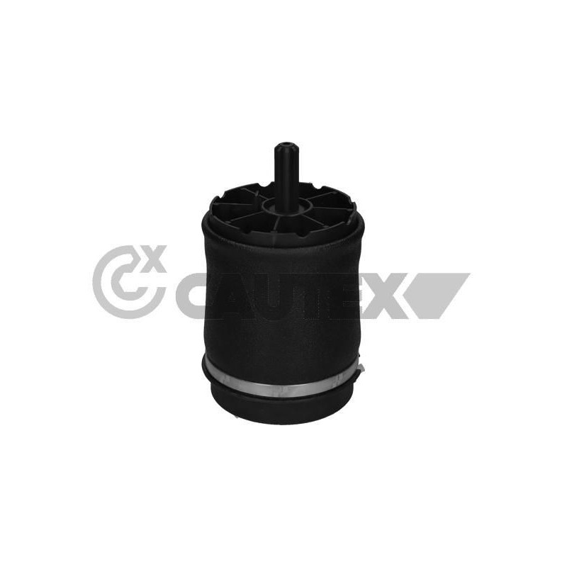 Ammortizzatore asse posteriore - CAUTEX GOMMA E PARTI MOTORE