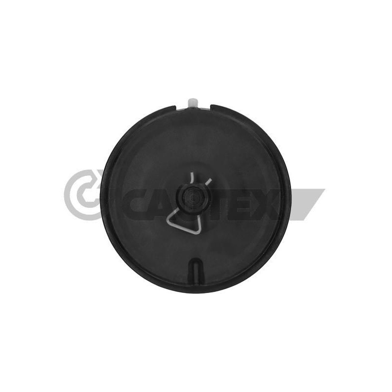 Ammortizzatore asse posteriore - CAUTEX GOMMA E PARTI MOTORE