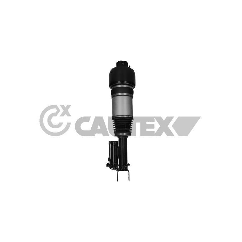 Ammortizzatore asse anteriore - CAUTEX GOMMA E PARTI MOTORE