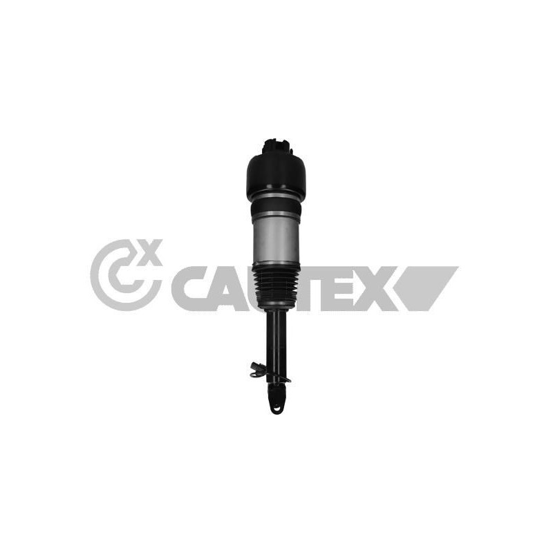 Ammortizzatore asse anteriore - CAUTEX GOMMA E PARTI MOTORE