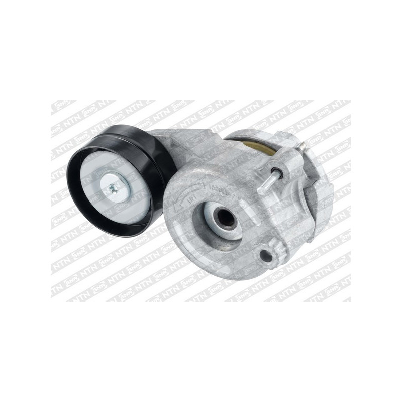 Tendicinghia trapezoidale - SNR