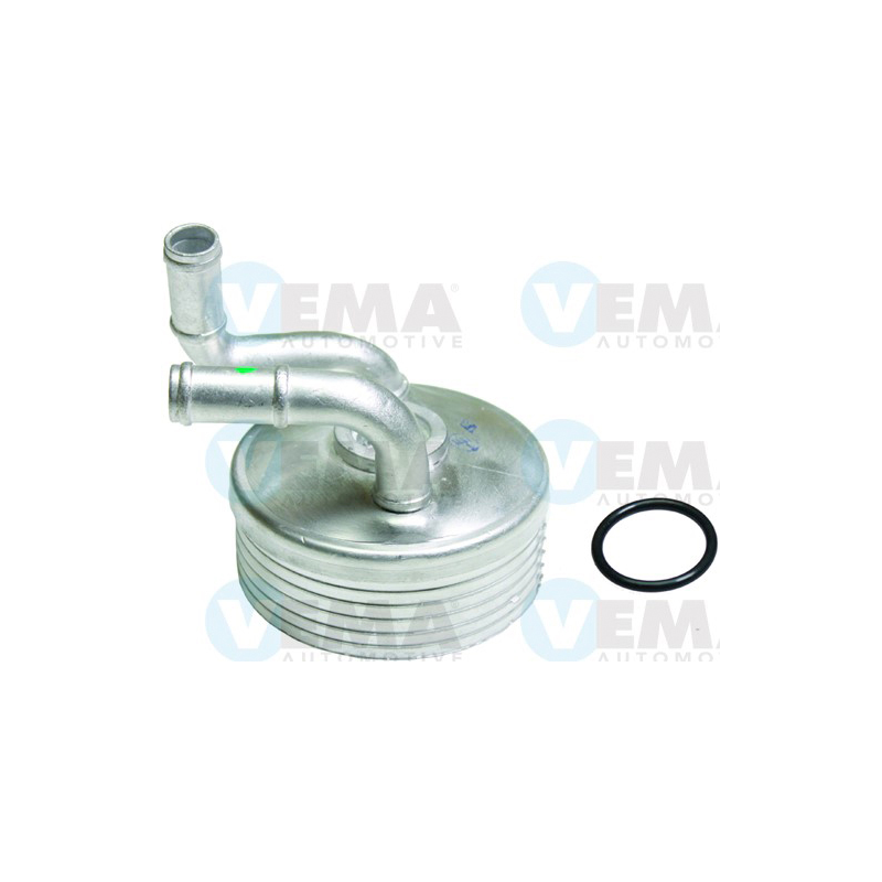 Radiatore olio motore - VEMA