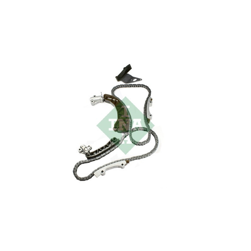 Tendicinghia trapezoidale - INA