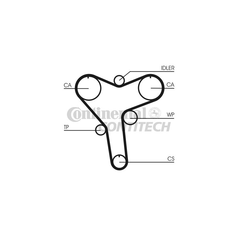 Cinghia/catena distribuzione - CONTITECH