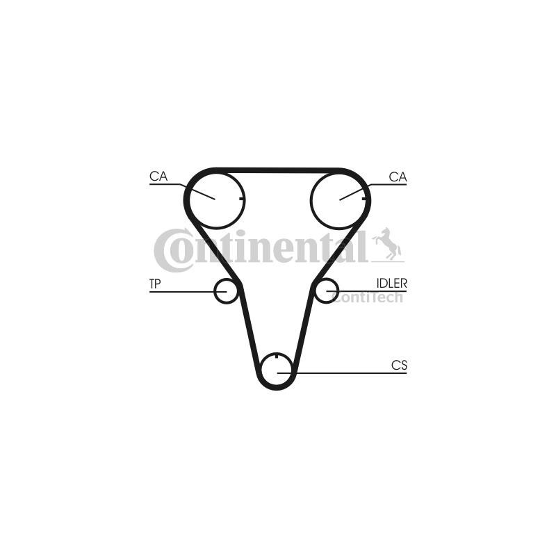 Cinghia/catena distribuzione - CONTITECH