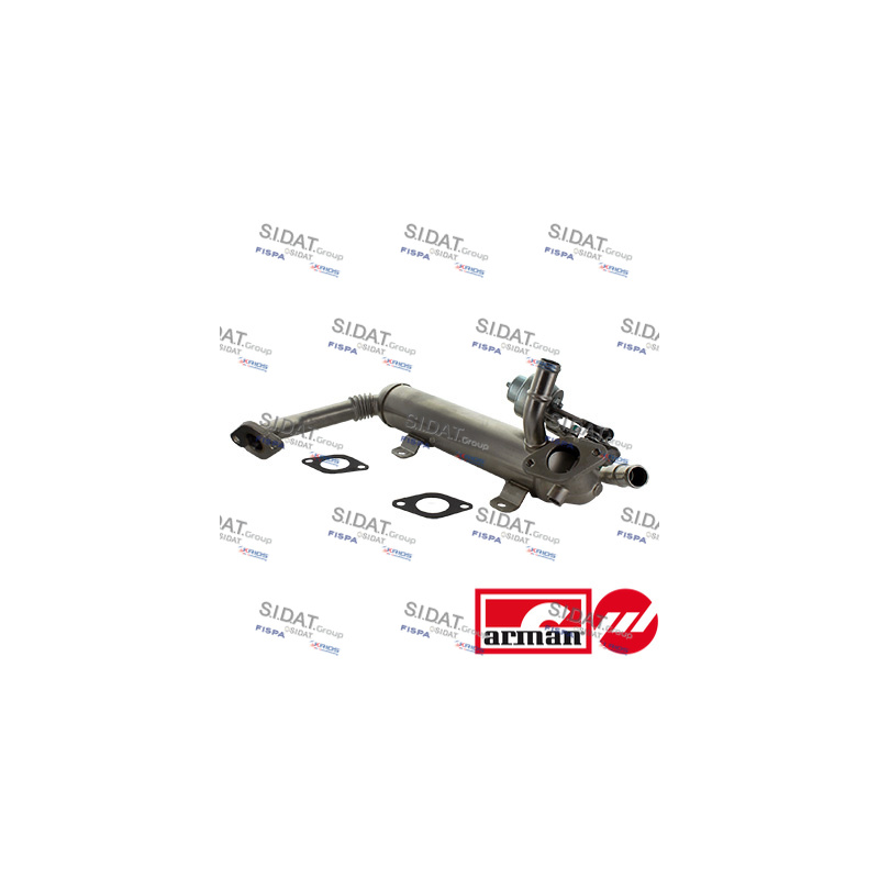 Corpo farfallato - SIDAT