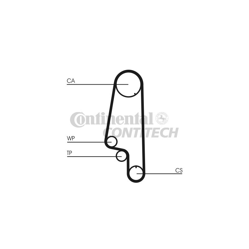 Cinghia/catena distribuzione - CONTITECH