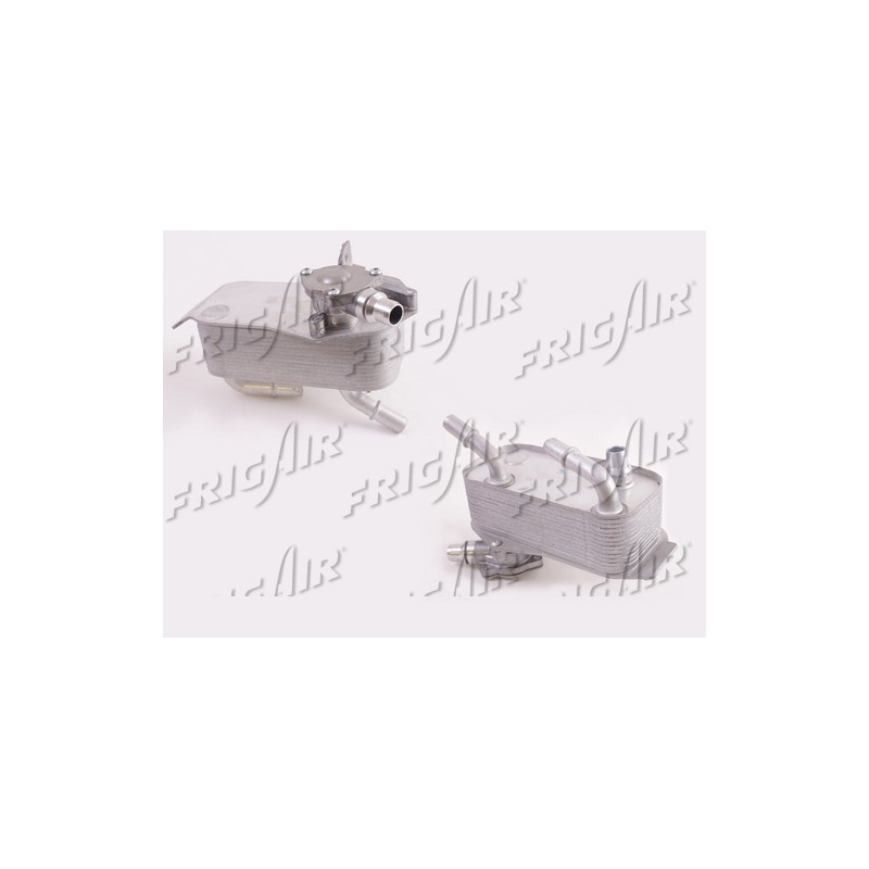 Valvola EGR - FRIG AIR