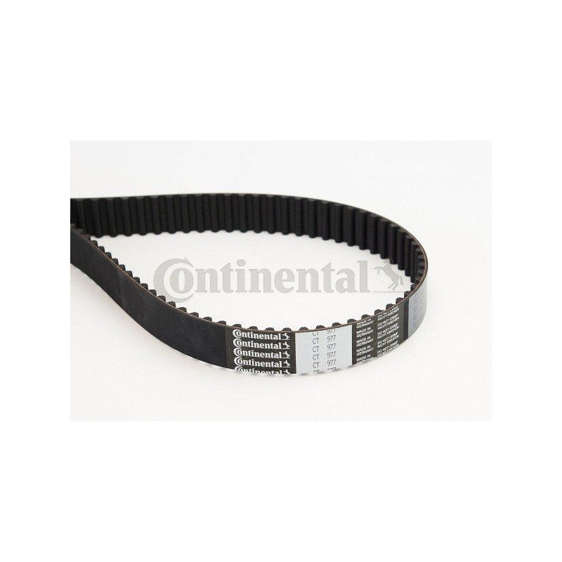 Cinghia/catena distribuzione - CONTITECH