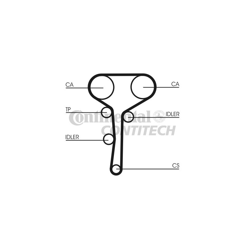 Cinghia/catena distribuzione - CONTITECH
