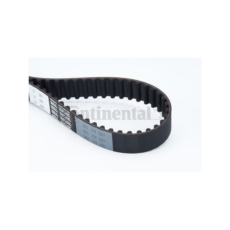 Cinghia/catena distribuzione - CONTITECH