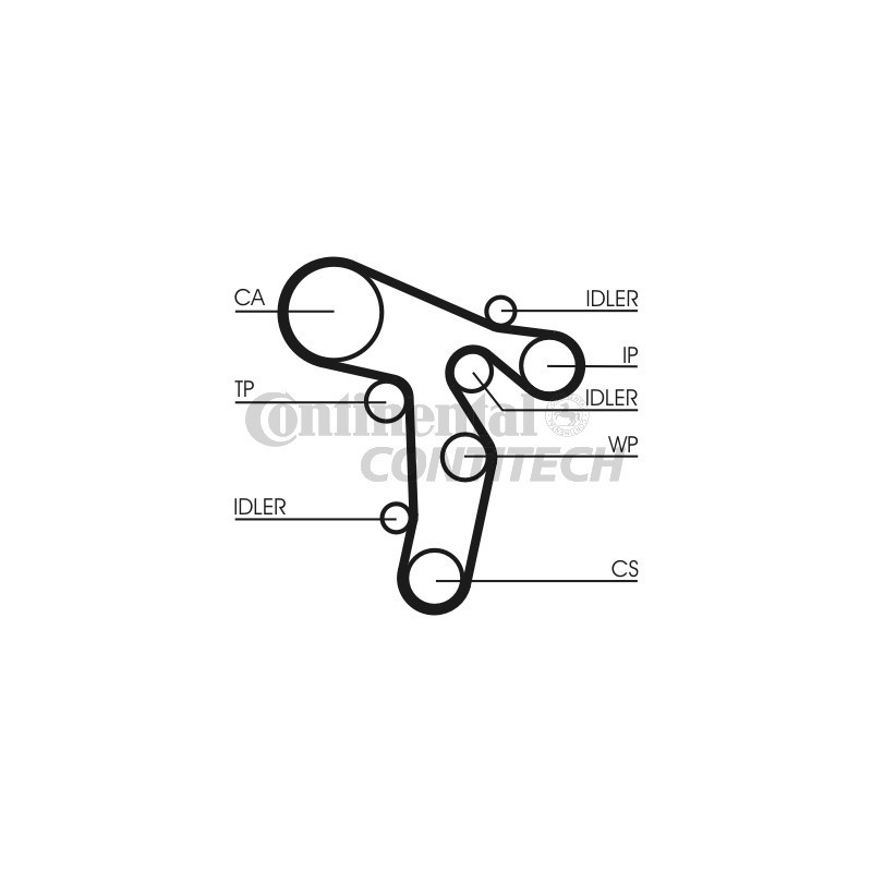 Cinghia/catena distribuzione - CONTITECH