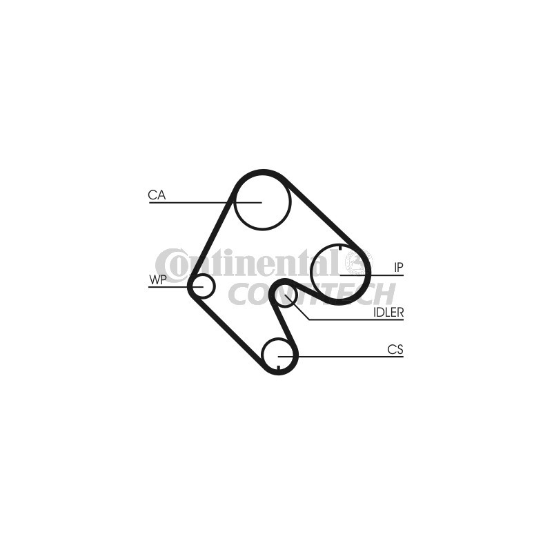 Cinghia/catena distribuzione - CONTITECH