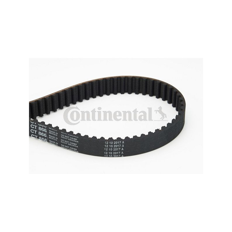 Cinghia/catena distribuzione - CONTITECH