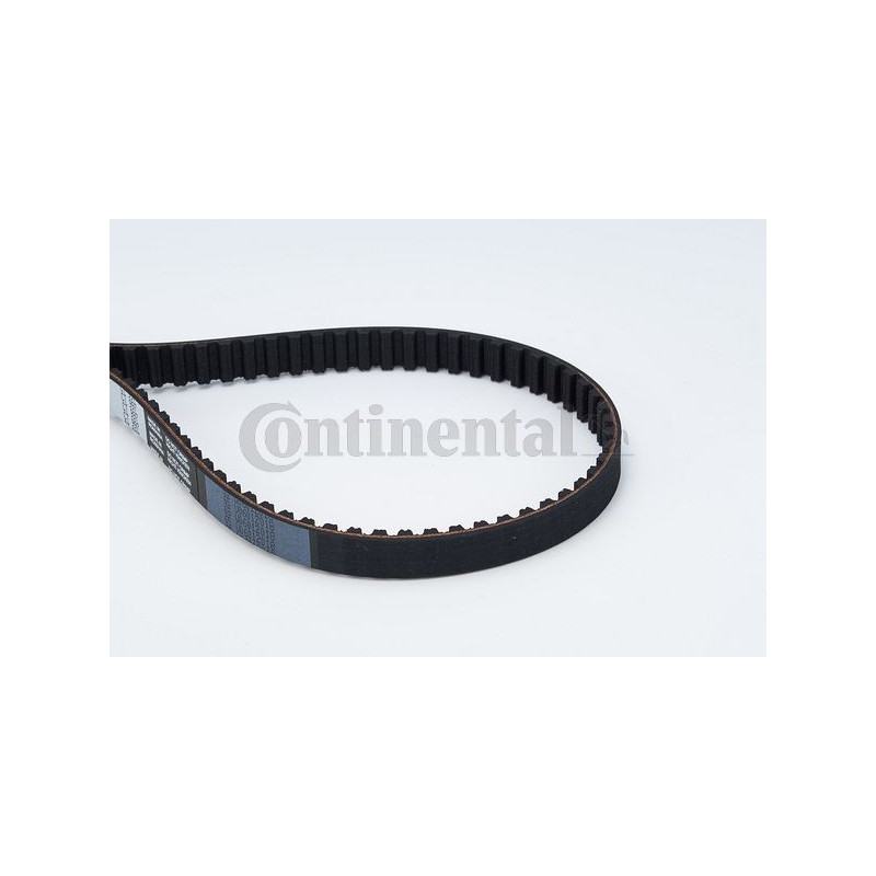 Cinghia/catena distribuzione - CONTITECH