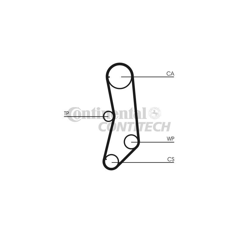 Cinghia/catena distribuzione - CONTITECH