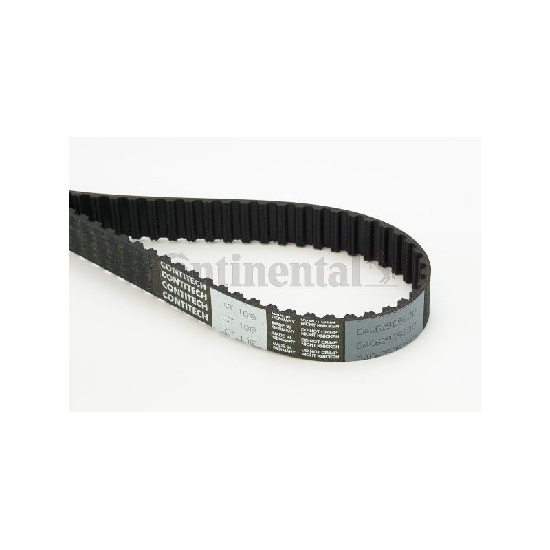 Cinghia/catena distribuzione - CONTITECH