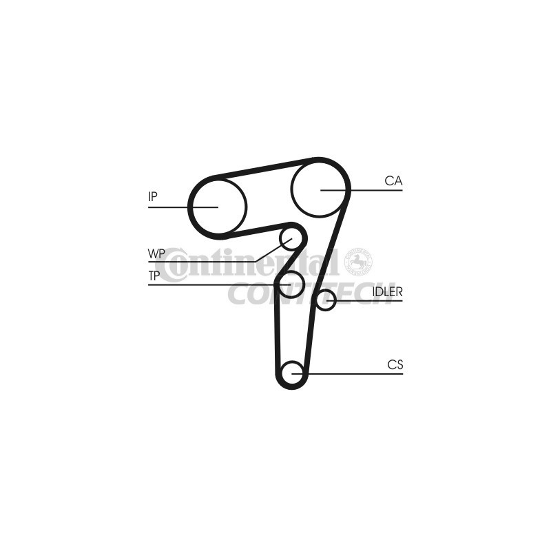 Cinghia/catena distribuzione - CONTITECH