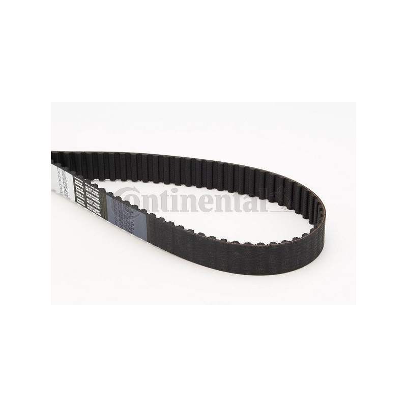 Cinghia/catena distribuzione - CONTITECH