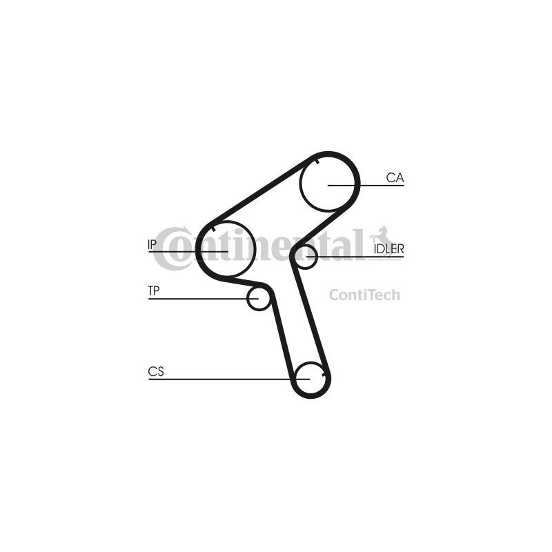 Cinghia/catena distribuzione - CONTITECH