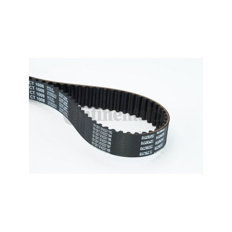 Cinghia/catena distribuzione - CONTITECH