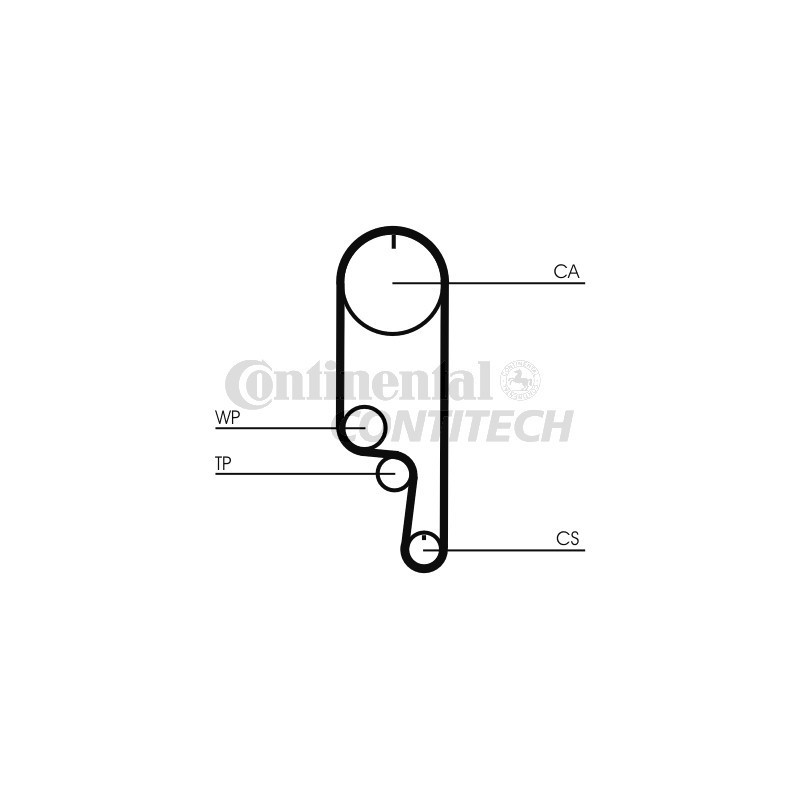 Cinghia/catena distribuzione - CONTITECH