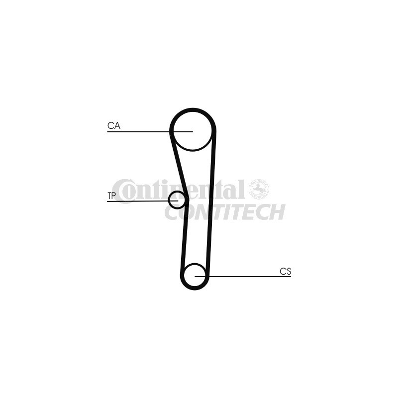 Cinghia/catena distribuzione - CONTITECH