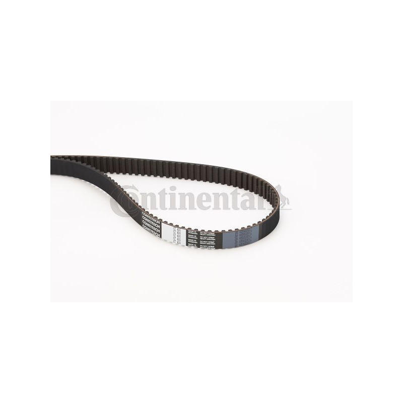 Cinghia/catena distribuzione - CONTITECH