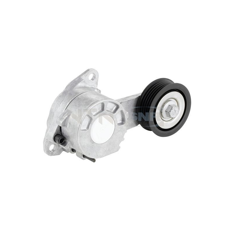 Tendicinghia trapezoidale - SNR