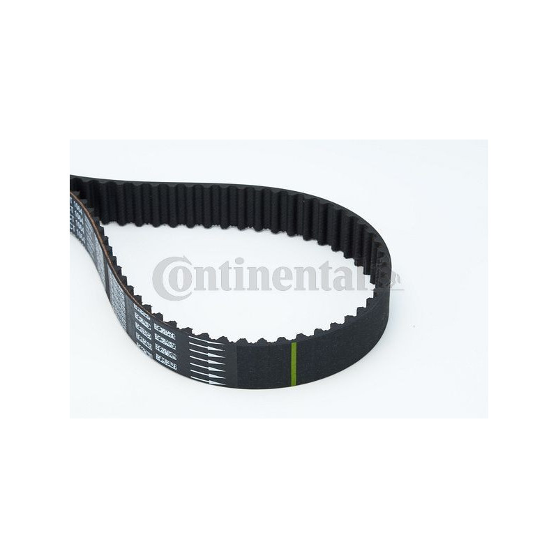 Cinghia/catena distribuzione - CONTITECH