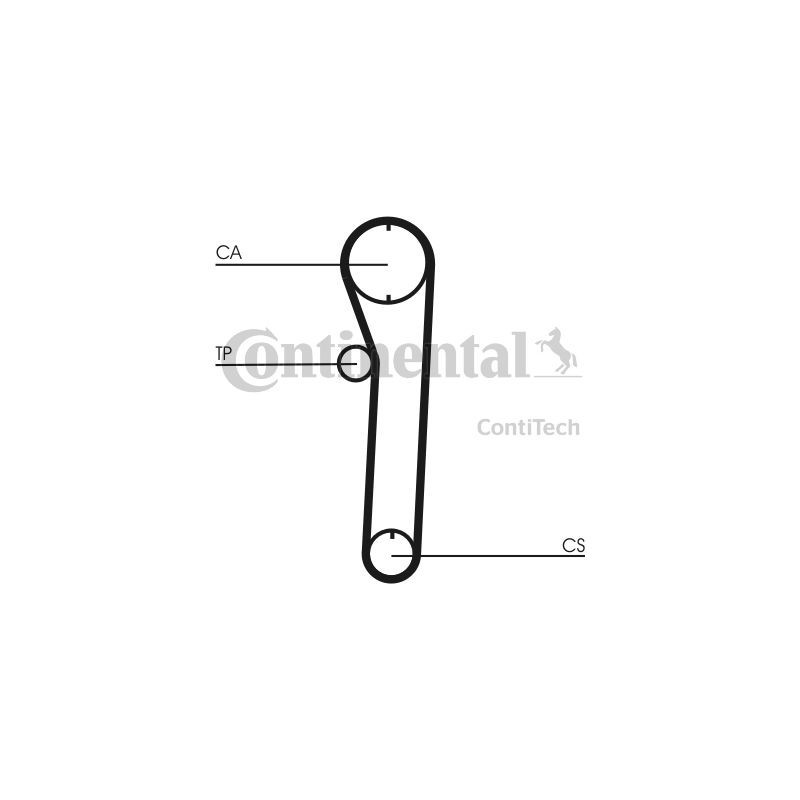 Cinghia/catena distribuzione - CONTITECH