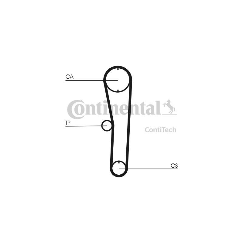 Cinghia/catena distribuzione - CONTITECH