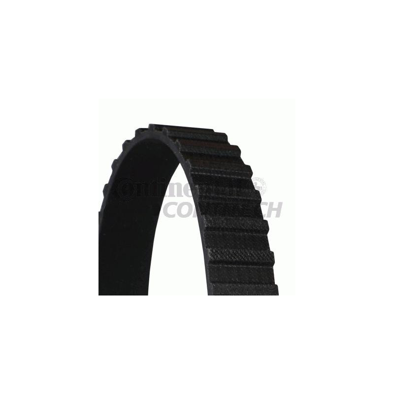 Cinghia/catena distribuzione - CONTITECH
