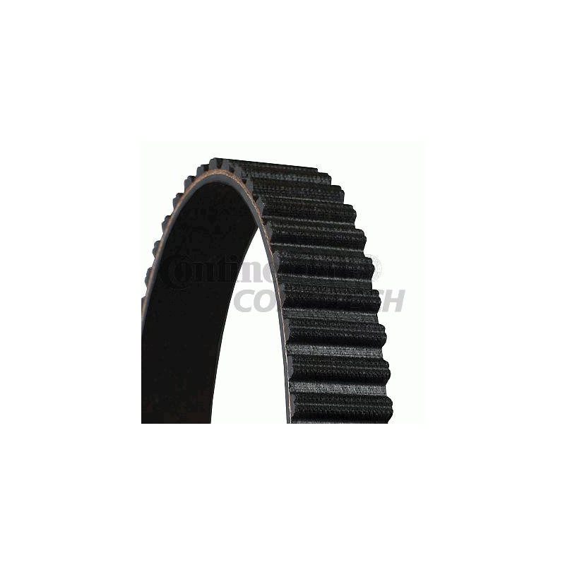 Cinghia/catena distribuzione - CONTITECH