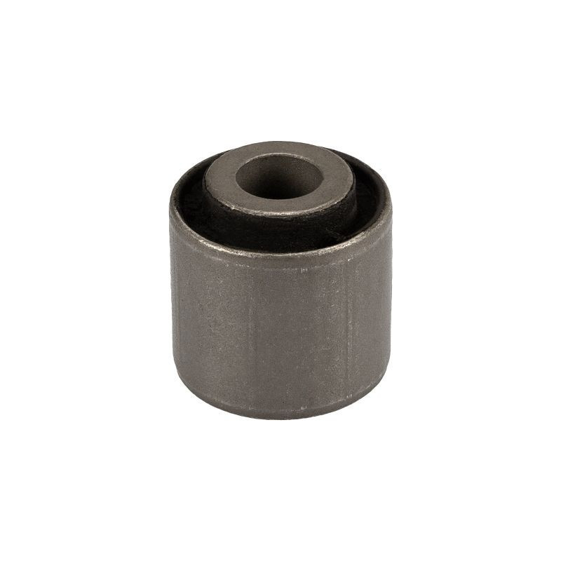 Braccio oscillante asse posteriore - TRW