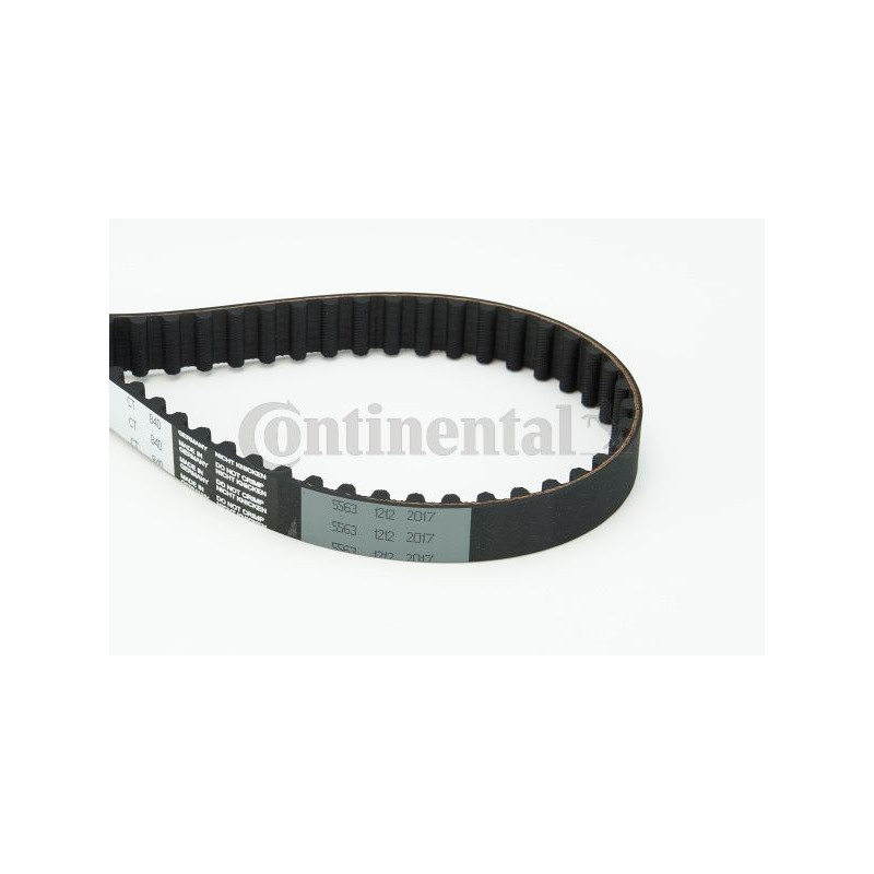 Cinghia/catena distribuzione - CONTITECH