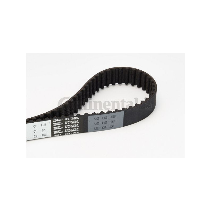 Cinghia/catena distribuzione - CONTITECH