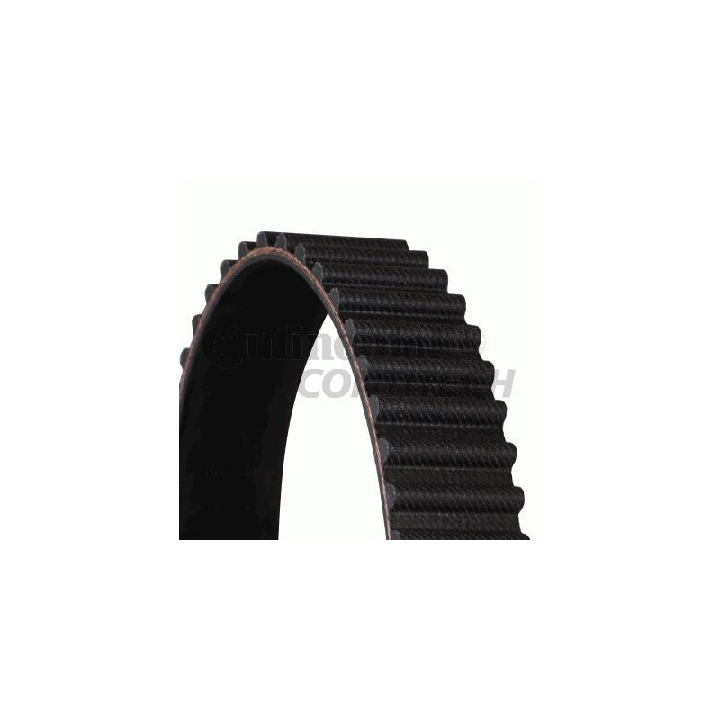 Cinghia/catena distribuzione - CONTITECH