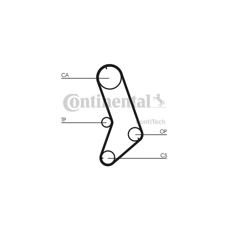 Cinghia/catena distribuzione - CONTITECH