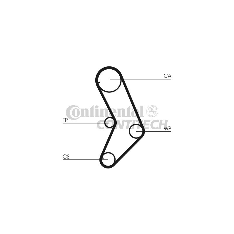 Cinghia/catena distribuzione - CONTITECH